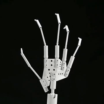 Amélioration du corps WM - doigts articulés