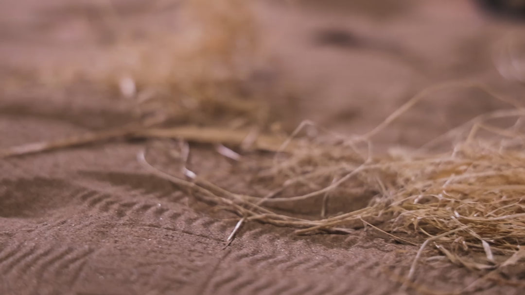 Inva - stock de la UE